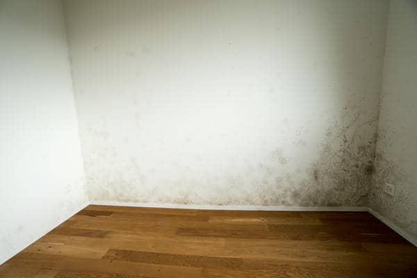 5 Best Mold Remediation Strategies Post-Flood