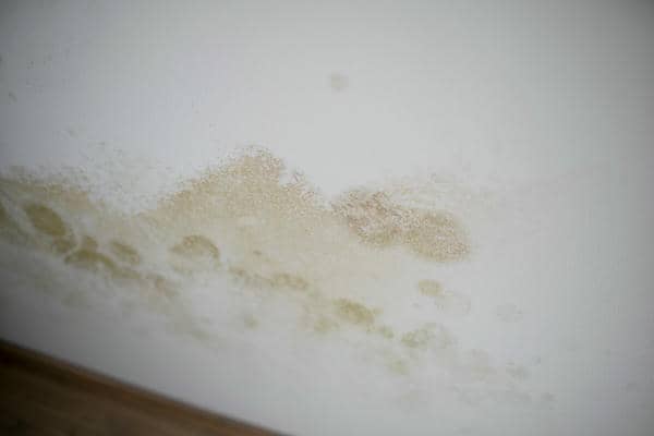 5 Mold Remediation Tips After Water Damage