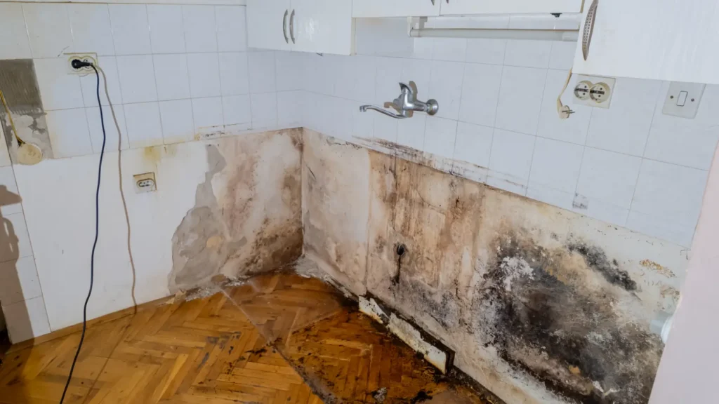 Benson, AZ Mold Remediation