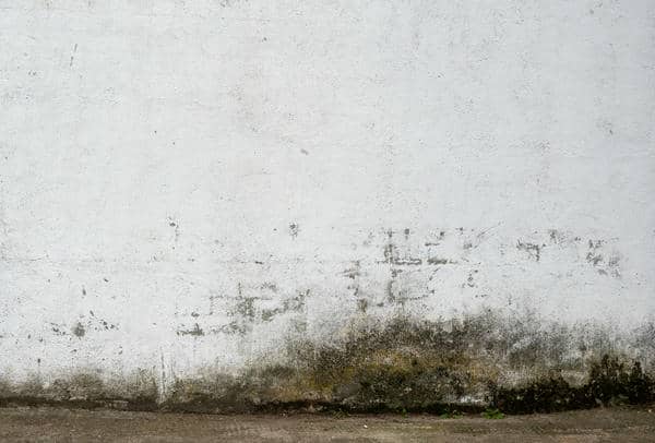 Mold Prevention Strategies Following Water Damage