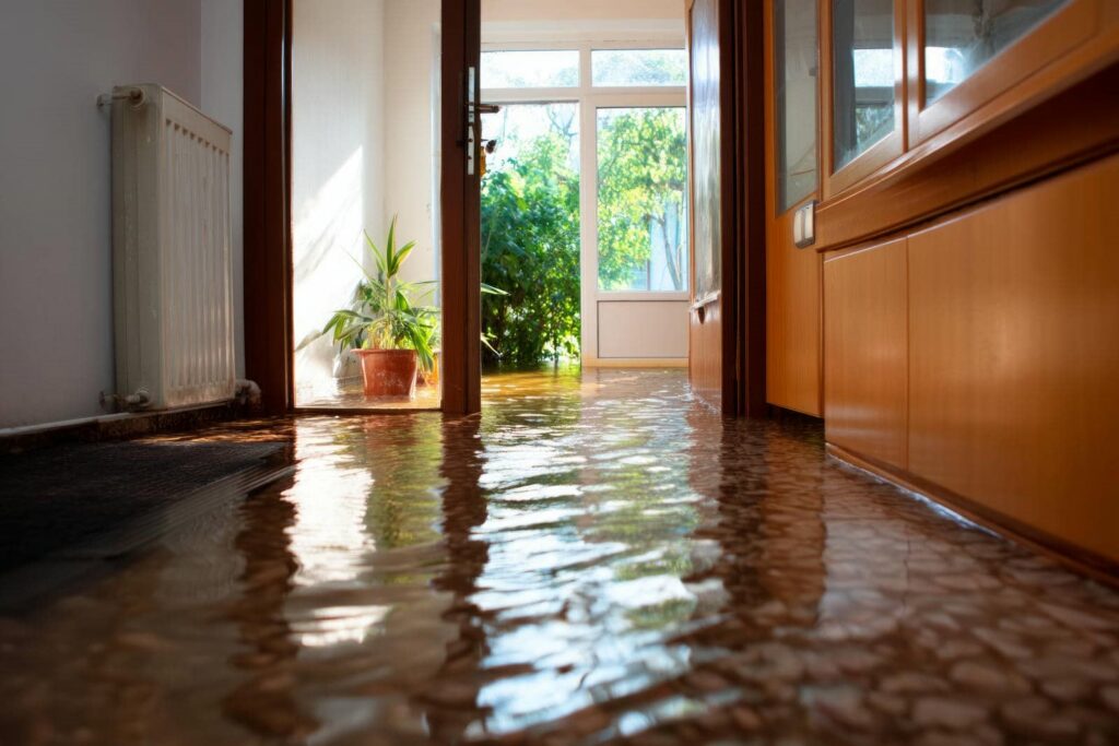 Indoor hallway flooded with water reaching the floor level near a potted plant and wooden cabinets.
