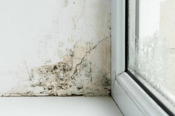 What Are Mold Remediation Methods After Water Damage