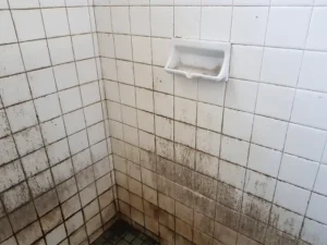 Corner of a tiled shower with heavy black mold and dirt on the lower walls and floor. sewage cleanup