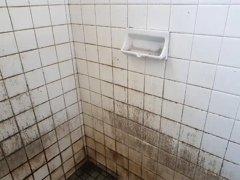 Corner of a tiled shower with heavy black mold and dirt on the lower walls and floor. sewage cleanup