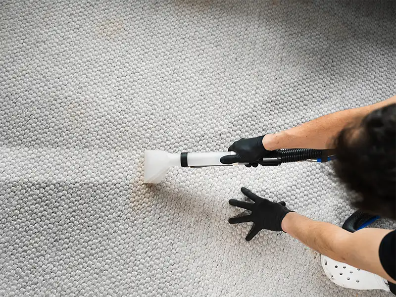 Person wearing black gloves cleaning a textured carpet with a vacuum extractor. water extraction services