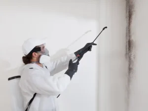 Person in protective gear spraying mold on a wall with a handheld sprayer. mold remediation