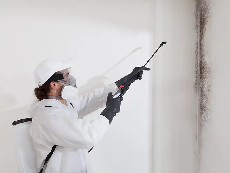 Person in protective gear spraying mold on a wall with a handheld sprayer. mold remediation