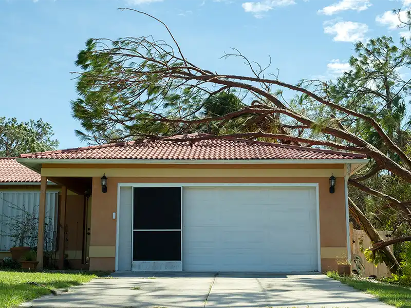Large tree fallen over a house roof with a closed garage door and driveway. storm damage repair
